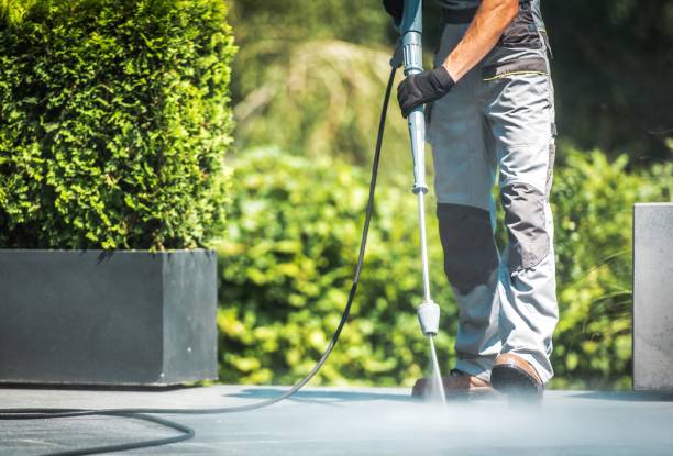 Best Roof Washing  in Lathrop, CA